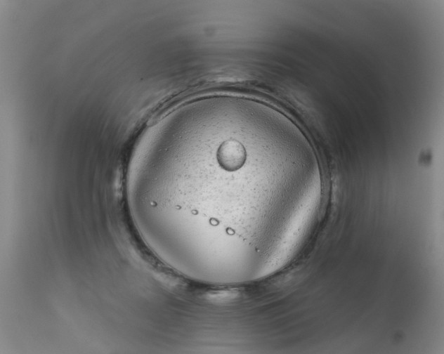 X0000110960362200907022226