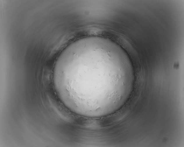 X0000110960363200907022226