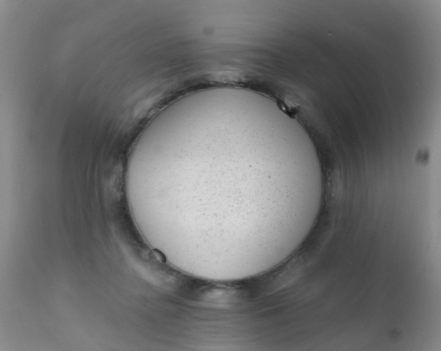 X0000110960364200907022226