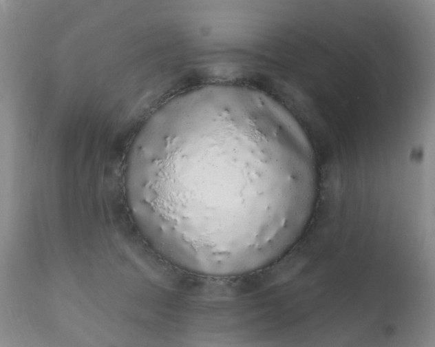 X0000110960369200907022226