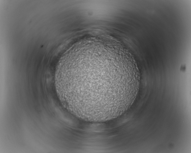 X0000110960371200907022226