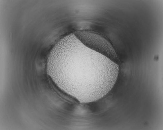 X0000110960372200907022226