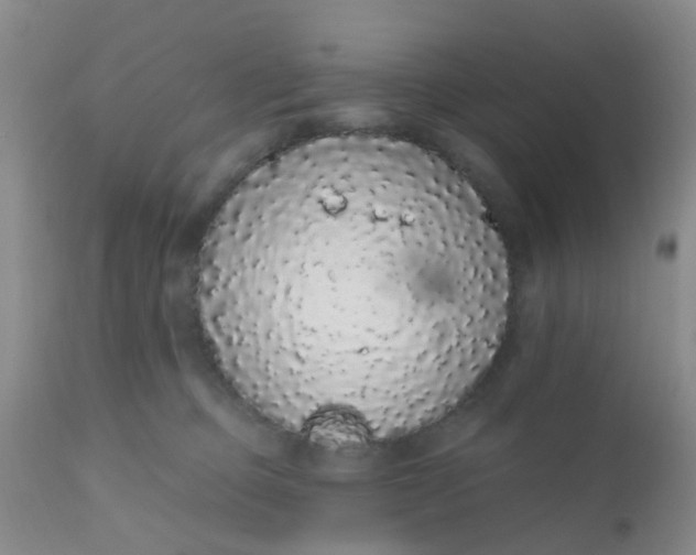 X0000110960373200907022226