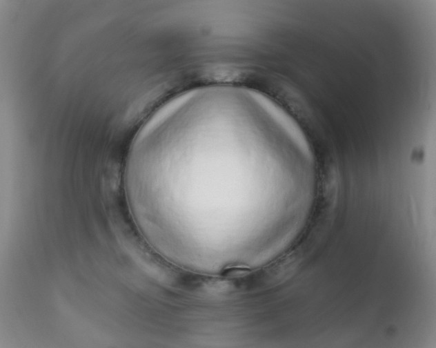 X0000110960374200907022226