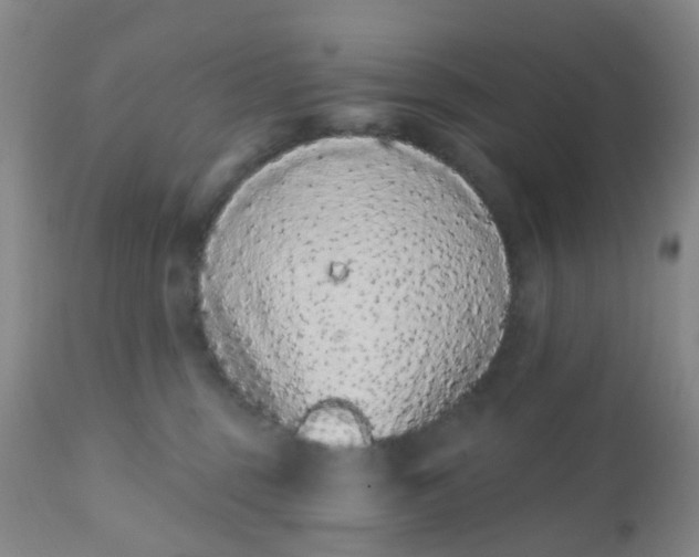 X0000110960375200907022226