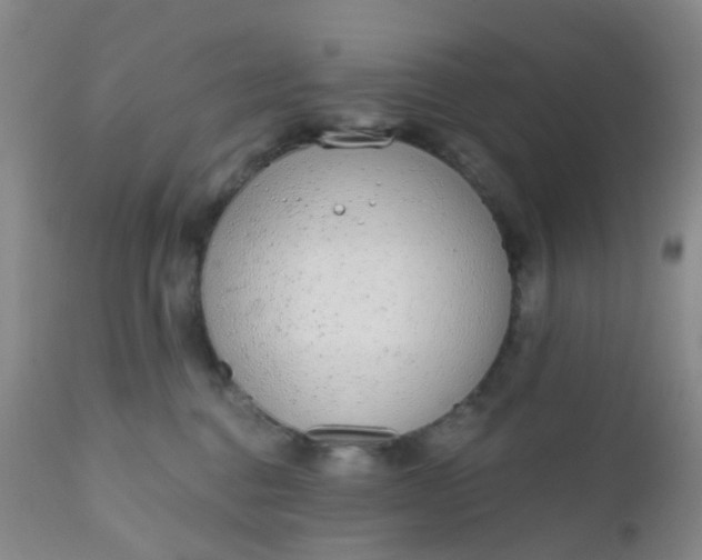 X0000110960376200907022227