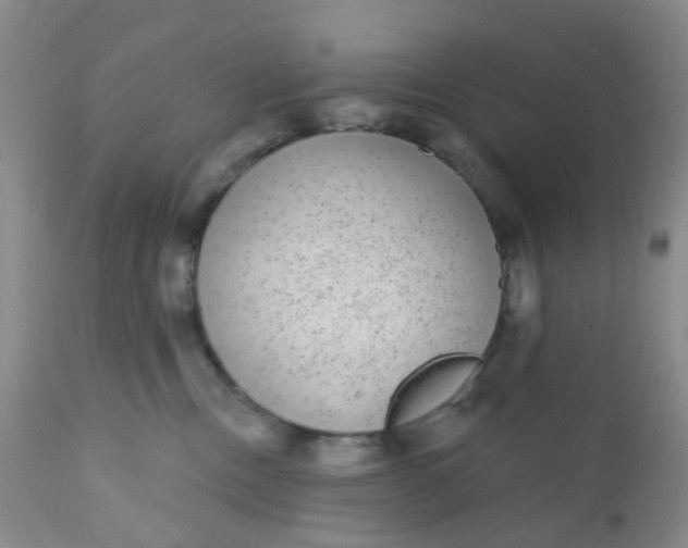 X0000110960378200907022227