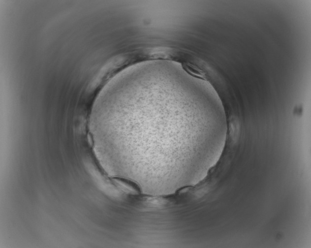 X0000110960379200907022227