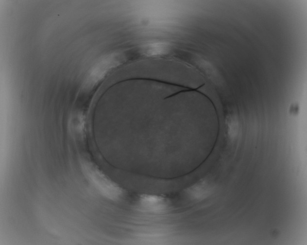 X0000110960380200907022227