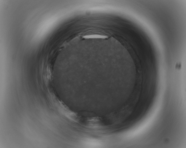 X0000110960382200907022227