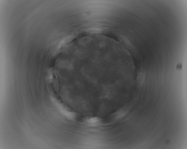 X0000110960383200907022227