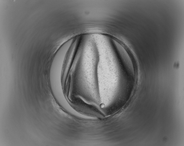 X0000110960385200907022226