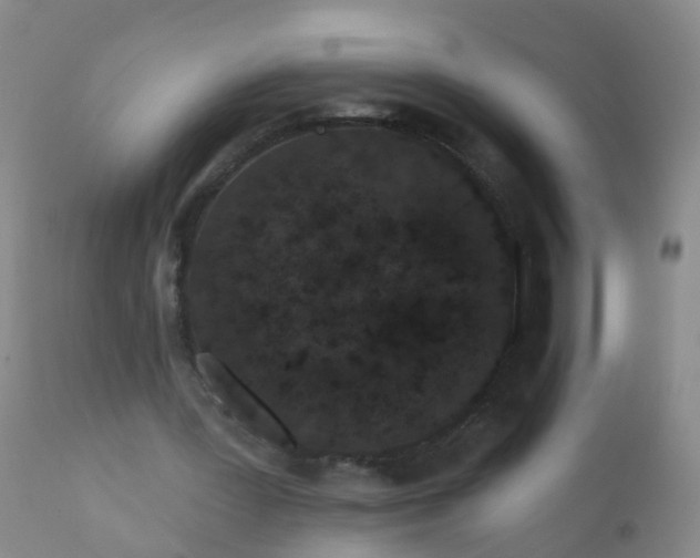 X0000110960387200907022226