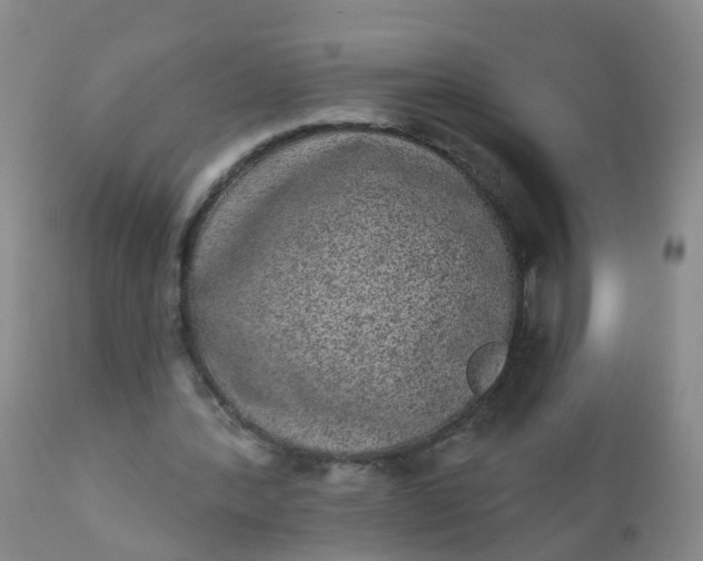 X0000110960388200907022226