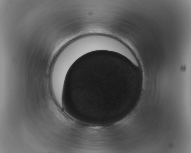 X0000110960391200907022226