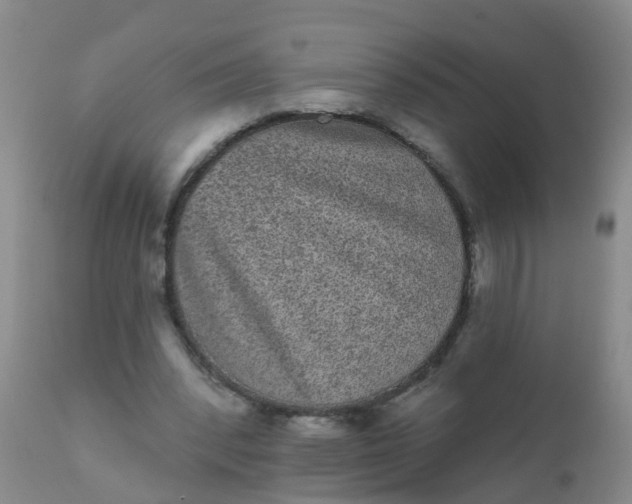 X0000110960392200907022226