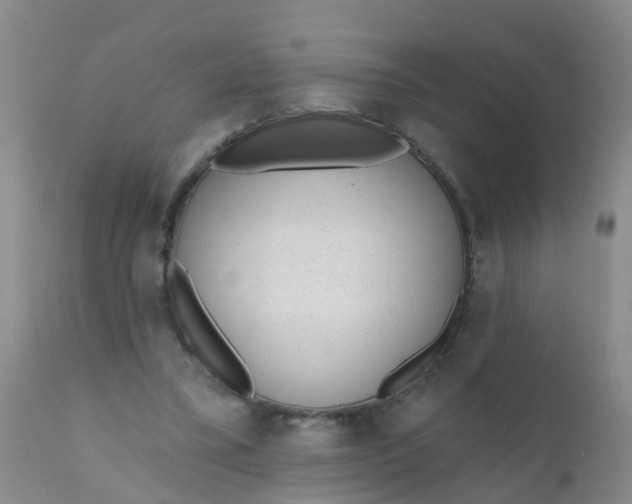 X0000110960395200907022226