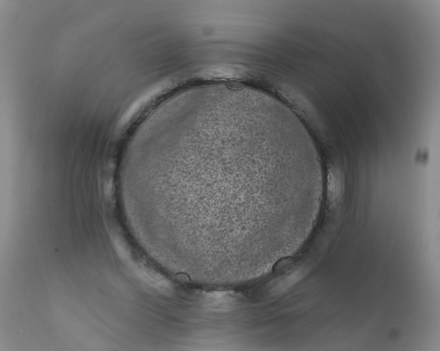 X0000110960396200907022226