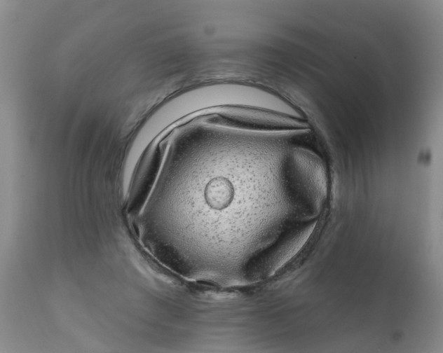 X0000110960401200907022225