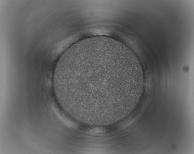 X0000110960402200907022225