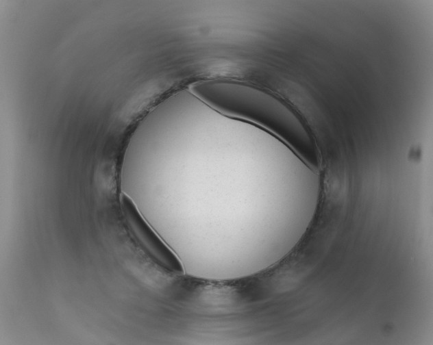 X0000110960403200907022225