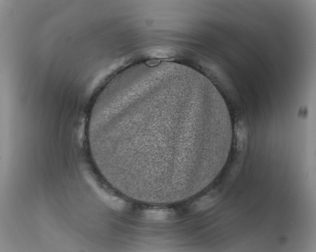 X0000110960404200907022225