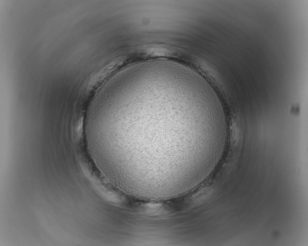 X0000110960406200907022225