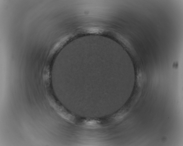 X0000110960407200907022225