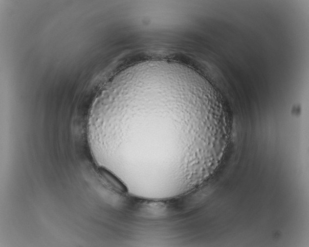 X0000110960409200907022225