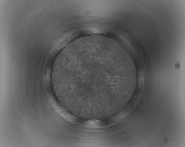 X0000110960410200907022225