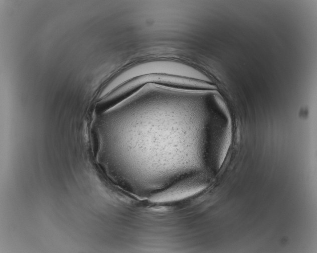 X0000110960411200907022225