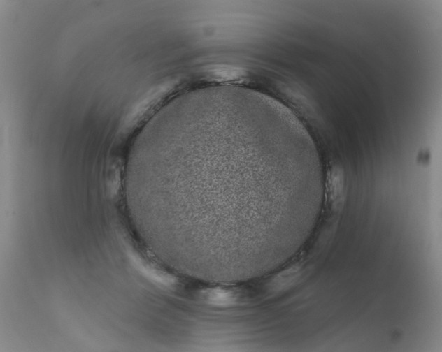 X0000110960412200907022225