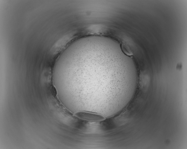 X0000110960413200907022225