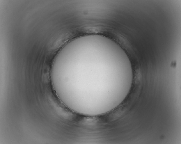 X0000110960414200907022225