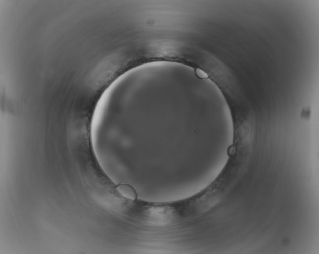 X0000110960415200907022225