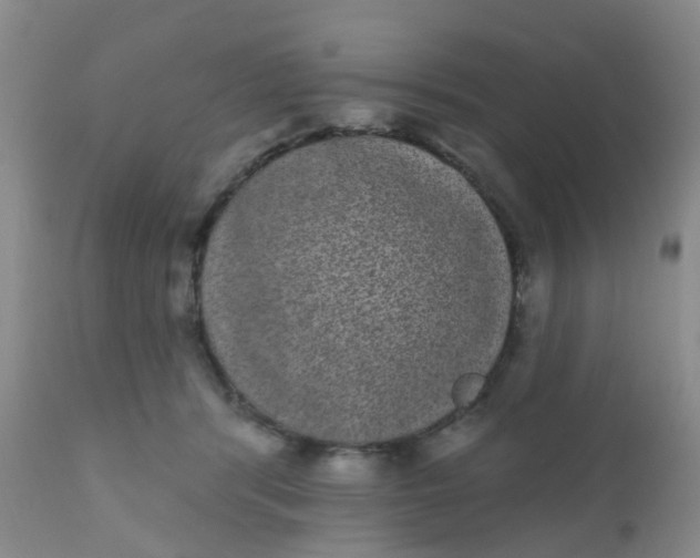 X0000110960416200907022225