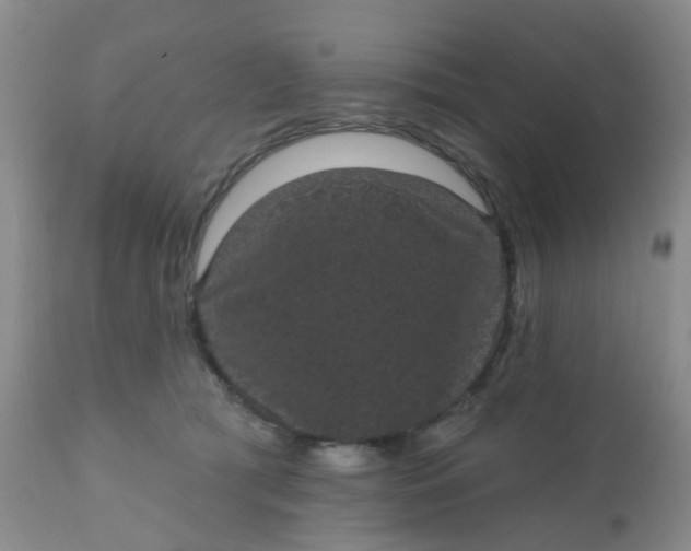 X0000110960417200907022225