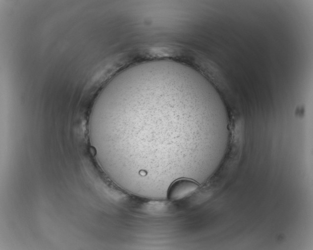 X0000110960418200907022225