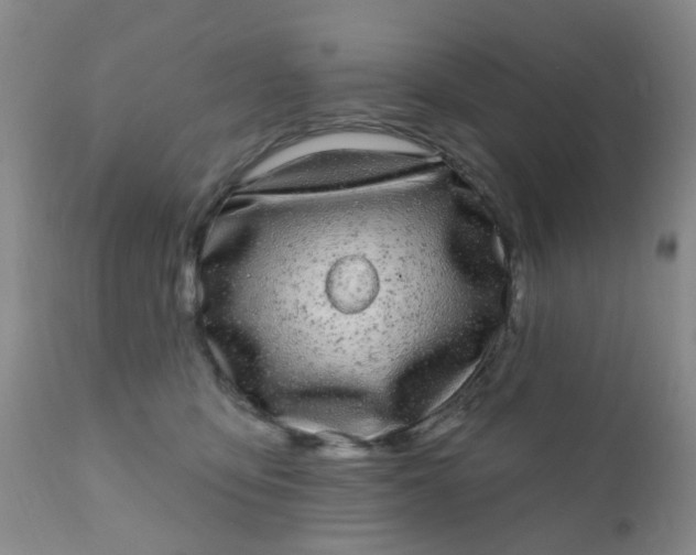 X0000110960419200907022225