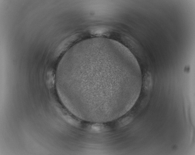 X0000110960420200907022225