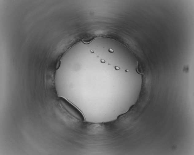 X0000110960421200907022225