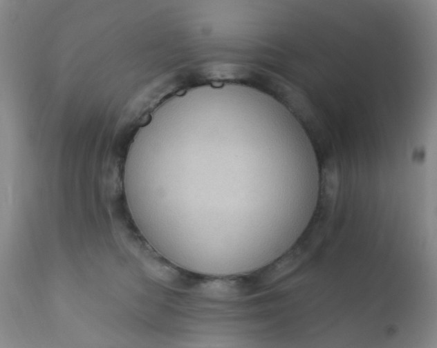 X0000110960422200907022225