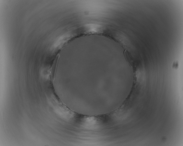 X0000110960423200907022225