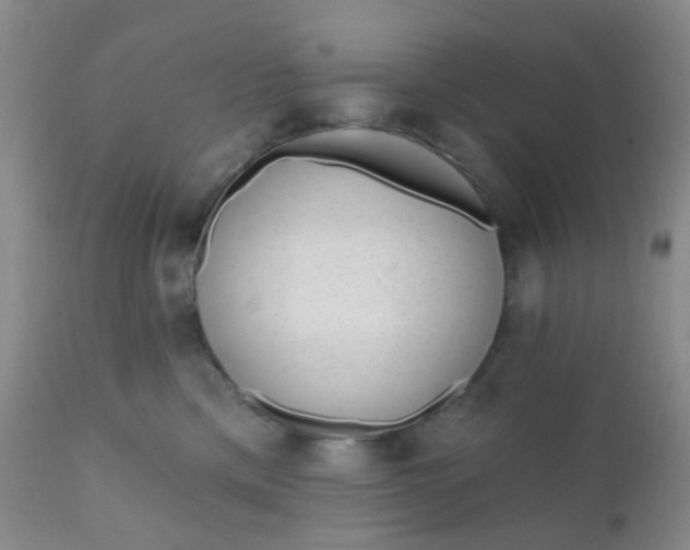 X0000110960425200907022225