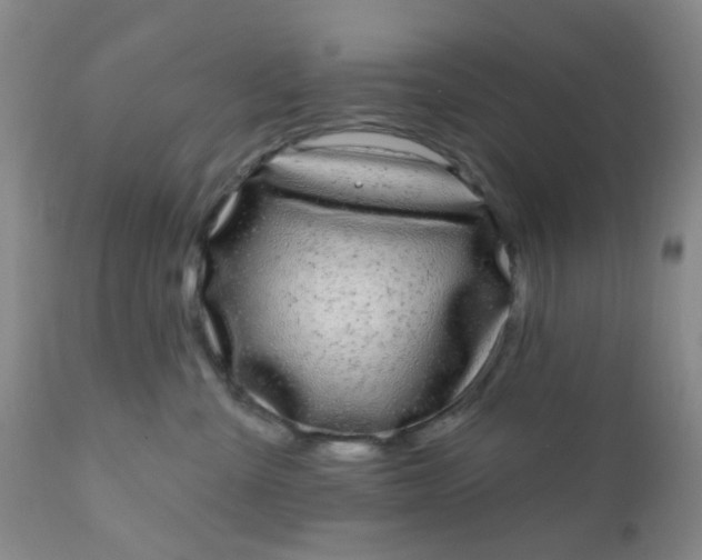 X0000110960427200907022225