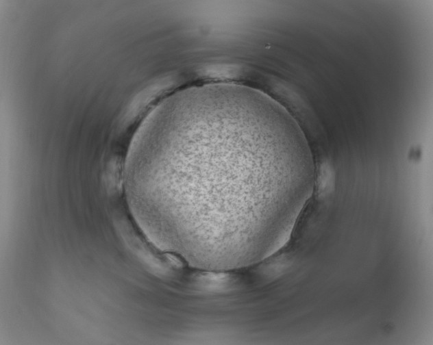 X0000110960428200907022225