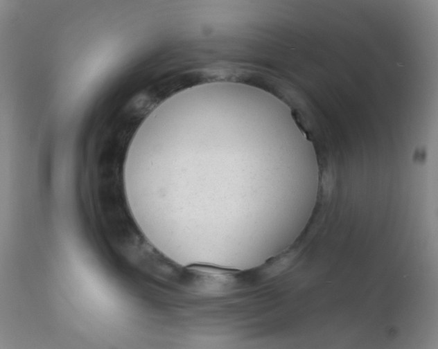 X0000110960429200907022225