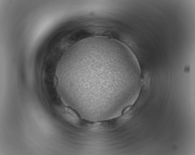 X0000110960430200907022225