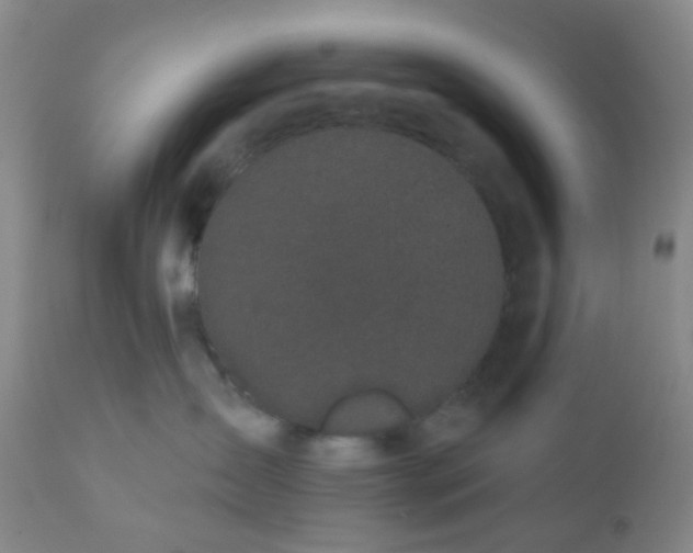 X0000110960431200907022225