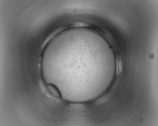 X0000110960435200907022224